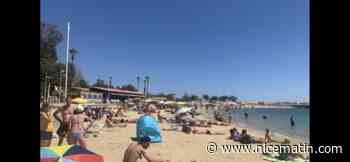 A Toulon, la mer est plus froide en ce début août que le 1er janvier pour le bain du Nouvel an