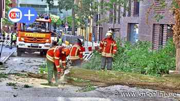 Sturm in Kiel: Bäume bescheren Feuerwehr in Kiel und dem Umland Einsätze 