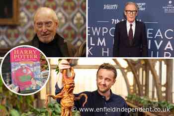 Harry Potter TV series cast: the favourites to take on iconic roles