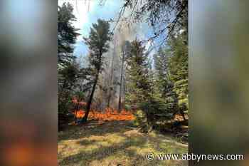 Ross Moore Lake wildfire steady overnight, erratic winds concern for afternoon