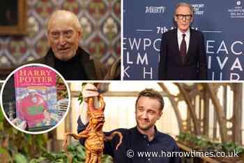 Harry Potter TV series cast: the favourites to take on iconic roles