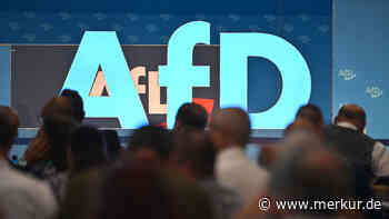 AfD-Vorschläge für die Wirtschaft: „Was die AfD vorhat, würde vieles noch schlimmer machen“