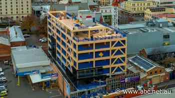 Timber once destined to become paper is now helping build high-rises