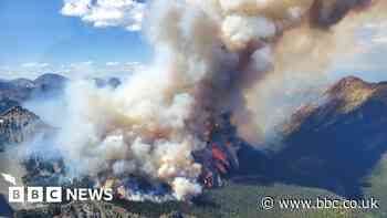 Devastating wildfires spur new detection systems