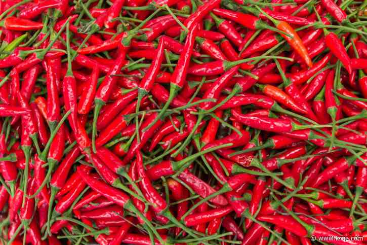 Turn up the heat with Bosque Chile Fest 2023