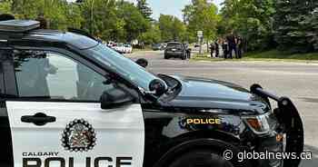 Shots fired in northeast Calgary on Monday afternoon