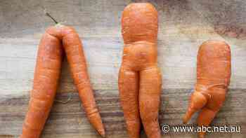 Could tax perks for donating 'ugly' or excess produce help solve Australia's food waste woes?
