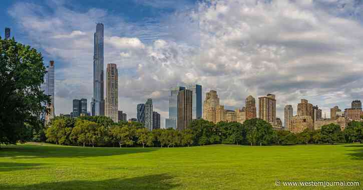 There Goes Central Park - NYC's Illegal Aliens May Get Tents to Solve Overwhelming Housing Crisis