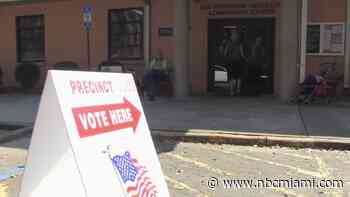 Appellate judges block new Miami voting map ahead of November election