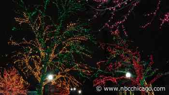 Lincoln Park's ZooLights set to return this November