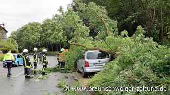 Baum stürzt auf Straße in Wolfenbüttel: Pkw beschädigt