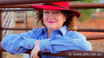 Court hears of 'fatal clauses' in Wright Prospecting's claim on Gina Rinehart's iron ore riches
