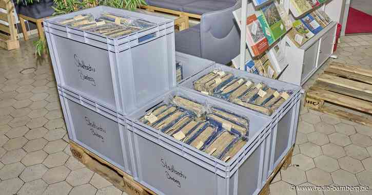 Wasserschaden fallen 490 Kilogramm Archivgut zum Opfer