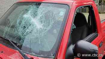 Smashed windows, trashed vehicles as vandalism spikes in Thunder Bay's central north core neighbourhood