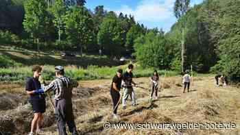 Nagolder Jugendhaus: Für kulturelle Vielfalt und Weltfrieden