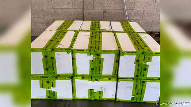 CBP officers in Texas seize ‘meth veggies’ worth more than $4 million