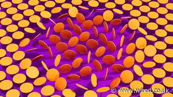 Sex Workers Took Refuge in Crypto. Now It’s Failing Them