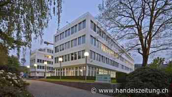 Der Gewinn von Glencore hat sich halbiert