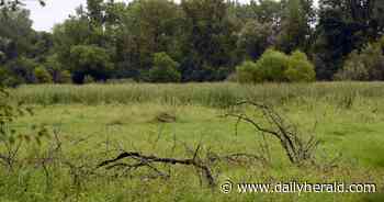 'Keeping the pressure on': Push to transfer Route 53 right of way for greenway continues