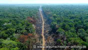 Amazonas-Gipfel in Brasilien: Indigene wollen mitreden