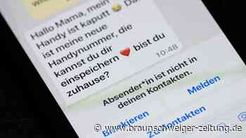 Polizei warnt in Wolfsburg und Helmstedt vor WhatsApp-Betrügern