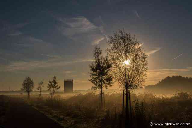 Davidsfonds organiseert schemerwandeling