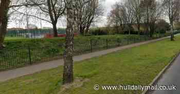 Youths seen 'throwing stones at moving cars and causing damage' in Willerby