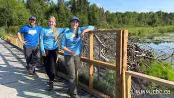 How a northern Ontario conservation crew is keeping a busy beaver at bay