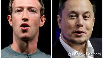 Musk says his cage fight with Zuckerberg will be streamed on X