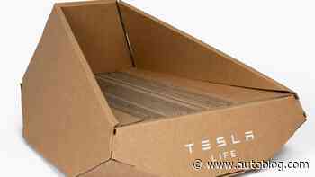 Cybertruck cat bed is Tesla's latest strange merchandise