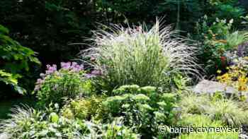 The gardens around Georgian Bay blossom during its annual garden tour