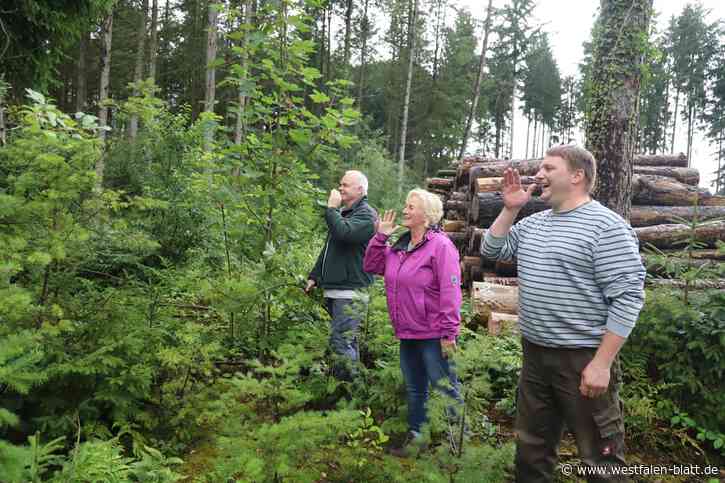 Schloß Holte-Stukenbrock: Wie man in den Wald hineinruft...