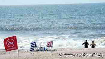New York: Wohl erster Hai-Angriff an Strand seit Jahrzehnten