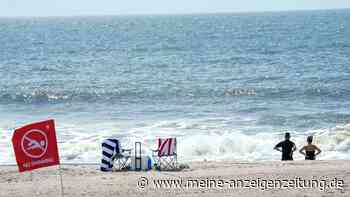 New York: Wohl erster Hai-Angriff an Strand seit Jahrzehnten