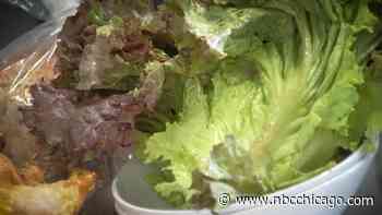 Potentially-contaminated lettuce recalled from Wisconsin, Minnesota retailers