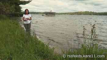 Cabin owners, take note: Protect your shoreline with natural resources