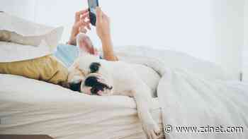 How to enable read receipts for texts on Android