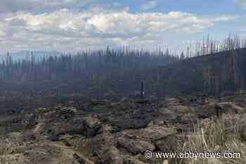 Rain, cooler weather could bring relief to B.C. wildfire crews as new fires start