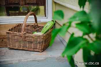 B.C. gardeners celebrate National Sneak Some Zucchini Onto Your Neighbor's Porch Day
