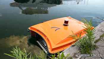 WasteSharks are lurking in Toronto's harbour — and cleaning up trash