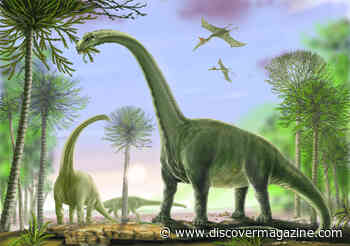 How the Titanosaur Lived: The Biggest Dinosaur to Ever Walk on Earth