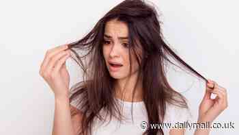 Bad hair day? Blame your genes: These four newly-discovered mutations influence the direction follicles grow