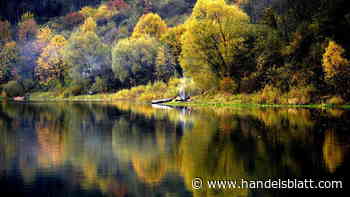 Ferienimmobilien: Ferienhäuser in Polen: Wo das Haus am See noch ein Geheimtipp ist