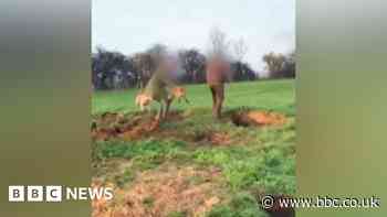 Trial set for man accused of Wiltshire fox-attack offences