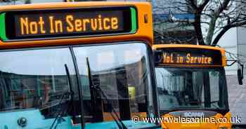 Cardiff Bus announces massive timetable overhaul as key routes are cut