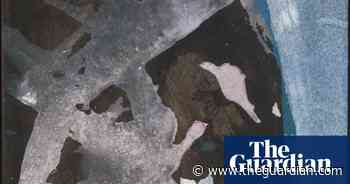 ‘There’s nothing quite like them’: Saul Leiter’s photos and paintings – in pictures