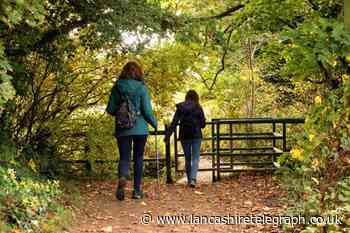 Walking 4,000 steps a day could reduce your risk of death