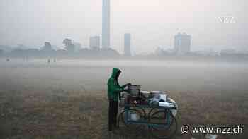 Steckt der Feinstaub hinter den Antibiotikaresistenzen?