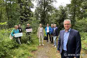 Stadt soll Stroetmann das Zimmermannsches Wäldchen abkaufen