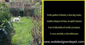 New Generative AI App Creates Poetry from Images